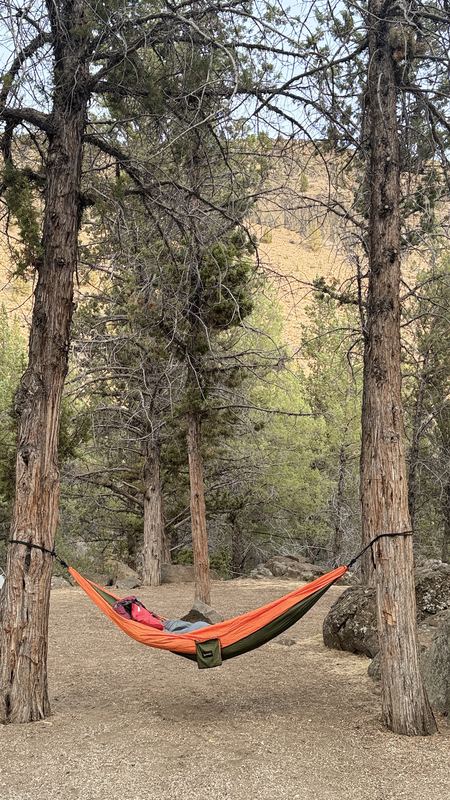 An orange hammock strung between two juniper trees at a campsite