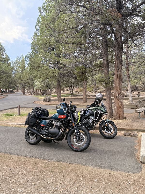 The Bear 650 and a green Honda CB500X parked on a campground road among juniper trees