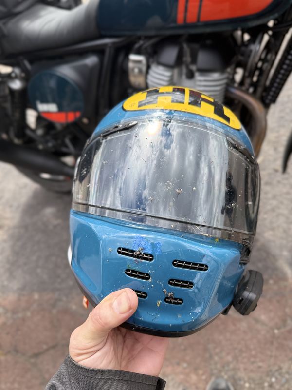 A blue vintage-style helmet with its visor covered in bugs