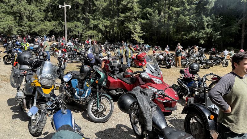 Motorcycles packed into a gravel lot among tall trees